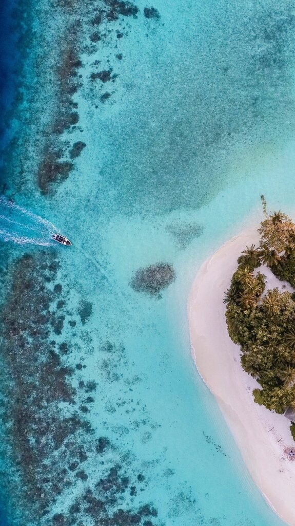 ocean, sea, phone wallpaper, mobile wallpaper, fish, lock screen wallpaper, ipad wallpaper, samsung wallpaper, island, beautiful wallpaper, nature, wallpaper, dream, aesthetic wallpaper, mobile wallpaper 4k, iphone wallpaper