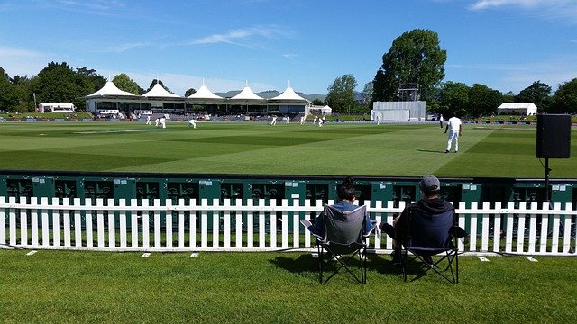 cricket, sport, new, zealand, cricket field, sport of cricket, batsman, cricket player, cricket, cricket, cricket, cricket, cricket