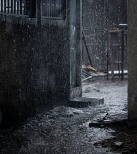 Rain Forces Abandonment of West Indies vs Sri Lanka 2nd ODI Before Play