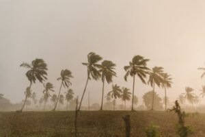 Japan’s $1.33 Million Aid to Sri Lanka Aims to Aid Cyclone Recovery Efforts