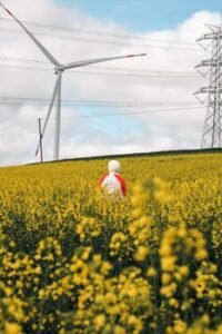 Sri Lanka Courts Belgian and Luxembourg Investors for Infrastructure and Green Energy Boost