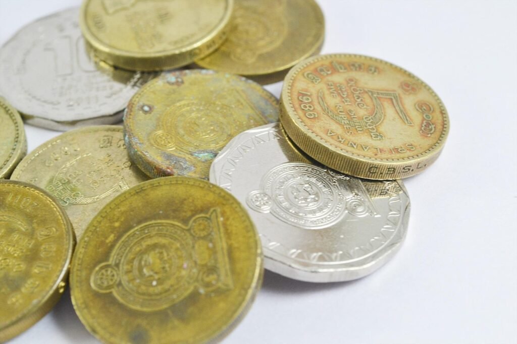 coins, currency, money, penny, cash, wealth, property, sri lanka mawanella, ceylon