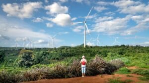 Sri Lanka Faces Pressure to Establish Technical Guidelines for Renewable Energy Expansion