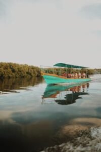 Negombo’s Mangroves: A Critical Look at Sri Lanka’s Coastal Conservation Efforts