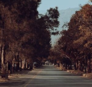 “Colombo to Islamabad: A New Generation Demands Accountability Over Promises”