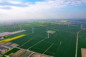 Urgent Call for Environmental Governance Reform in Sri Lanka