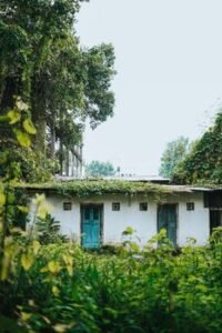 “Bengal Bungalow Premieres This Weekend: A Sri Lankan Stage Event to Watch”