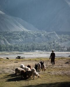 Shepherd Priest Chronicles His Pastoral Journey in Sri Lanka