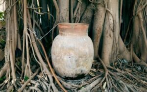 Exploring the Deep Cultural Ties of Sri Lanka