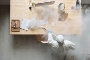 Colombo Intensifies Efforts to Combat Dengue with Mosquito Fumigation