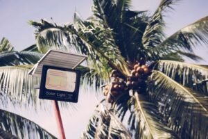 Excello Unveils Solar-Powered Residential Project in Sri Lanka