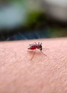 Sri Lanka Combats Decade-High Dengue Surge with Drones and Military Support