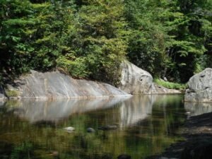 From LifeHacks site: The Out-of-Touch Adults’ Guide to Kid Culture: What Does ‘Quiet on the Creek’ Mean?