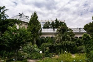 Yunnan Botanical Garden Leads Cross-Border Biodiversity Efforts