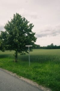 Critique of Spectator.com’s Exploration of 2764 Placenames
