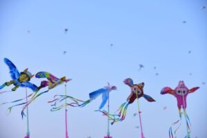 Colombo Welcomes Global Kite Flyers at International Festival