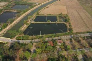 Sri Lanka Eyes Passenger Drones to Enhance Tourism Experience
