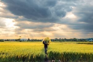 Rs. 3 Billion Set Aside for Farmers Affected by El Niño