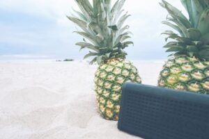 From LifeHacks site: This Floatable Anker Speaker Is Nearly Half Off Right Now
