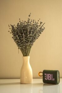 From LifeHacks site: This $45 JBL Speaker Is Small Enough for a Bag and Tough Enough for the Beach