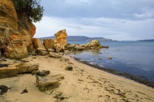 From LifeHacks site: If You Loved ‘Widow’s Bay,’ There’s One Movie You Need to Watch Next
