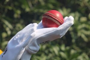 Spirit of Test Cricket: Why Dinusha’s Gritty Defiance Deserves Praise Across Borders