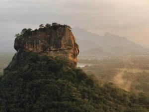 Sri Lanka Welcomes Over 250 Japanese Tourists and Investors in Major Economic Boost