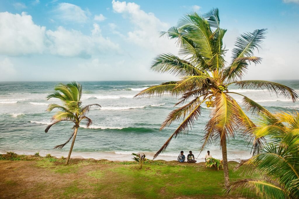travels, ocean, sri lanka, island, sea, beach, palm trees, lankans, ceylon, beaches, vacation, tourism, wave, storm, coconuts, landscape, nature, water, coast, sky, summer, tropics