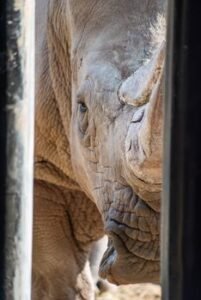 Two Zones at Yala National Park Closed Due to Dry Weather