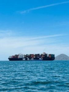 Sri Lanka Government Establishes Committee to Boost Shipping Industry Collaboration