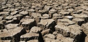 El Niño Threatens Sri Lanka’s Agricultural Export Performance