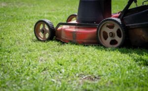 From LifeHacks site: This Smart Robot Mower Is $600 Off Right Now