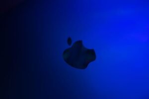 From LifeHacks site: This Apple AirTag Four-Pack Is $20 Off Right Now