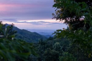 Sri Lanka Grants Protection Status to 20 Vital Forests, Securing Key Water and Wildlife Sanctuaries