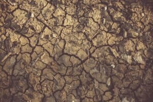 Severe El Niño Weather Conditions Impact Over 160,000 People Across Eight Districts