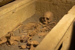 Unearthing History: Remains of 572 People Discovered in Massive Sri Lankan Mass Grave