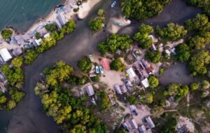 Parliamentary Probe into Cyclone Ditwah Response to Summon Local Authorities