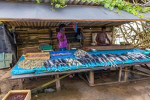 Sri Lanka Aims to Boost Seafood Exports to Russia in Strategic Trade Expansion Drive