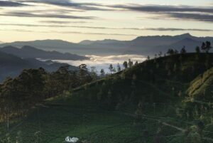 Discover Sri Lanka: The Ultimate 7-Day Itinerary Through Culture, Nature, and Coastlines