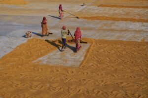 Sri Lanka Advocates for Enhanced Social Protection Policies for Migrant Workers