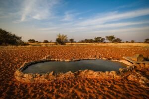 Severe Drought in Sri Lanka Triggers Deadly Wildlife Poisoning Crisis