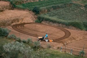 Lessons in Sustainability: What Sri Lanka’s Organic Farming Shift Teaches New Zealand