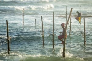 Preserving a Time-Honored Craft: The Cultural Endurance of Stilt Fishing in Sri Lanka
