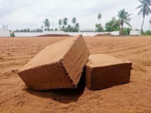 RioCoco Launches Sri Lanka’s Largest Single Coco Coir Production Facility