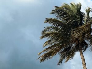 Sri Lanka Lifts State of Emergency Imposed Following Deadly 2025 Cyclone