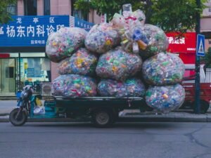 Sri Lankan Scientist Contributes to Breakthrough Turning Plastic Waste Into Food