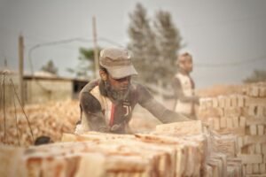 Thailand Seeks 10,000 Sri Lankan Workers to Fill Labor Deficit Following Cambodian Exodus