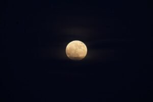 Full Moon Serves as Symbol of Enduring Cultural Connection Between China and Sri Lanka