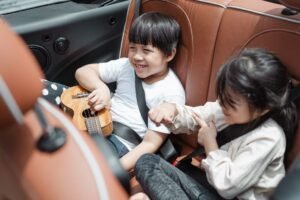 Sri Lanka Police Clarify Expressway Seat-Belt Exemptions for Certain Passengers
