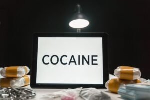 Sri Lankan Police Seize 463 kg of Crystal Meth in Major Colombo Port Bust